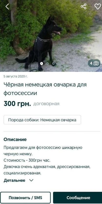 В Днепре сдают животных в аренду за кругленькую сумму. Новости Днепра