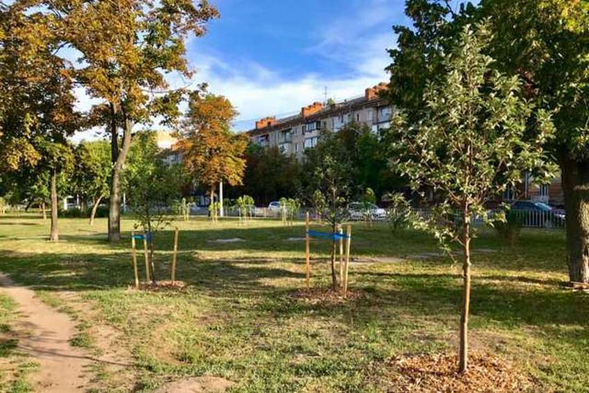 Поддержать может каждый: в Днепре пройдет декада озеленения города