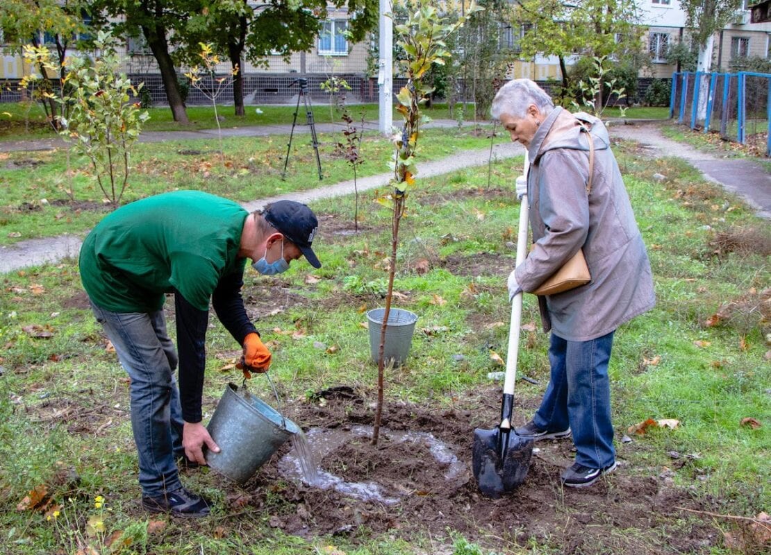 Дніпро-квітучий: на житлових масивах Покровський та Червоний камінь висадили 70 молодих дерев 