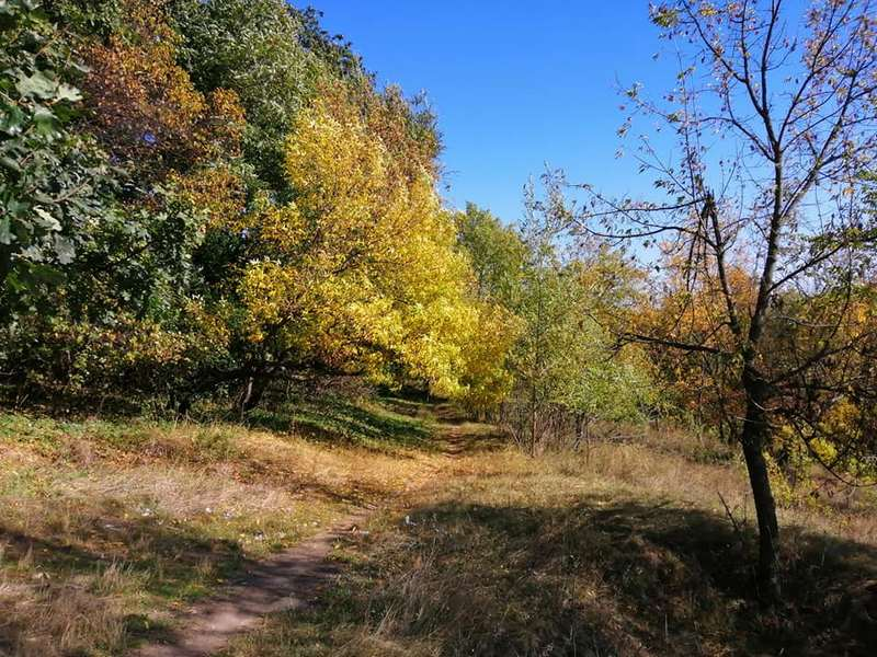 Яркие краски осени в Тоннельной балке. Новости Днепра