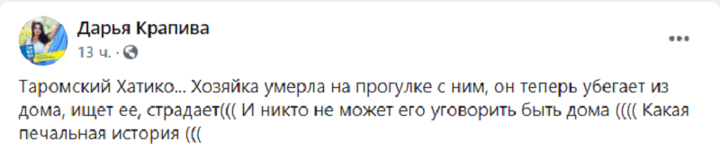 В Днепре пес продолжает искать умершую хозяйку. Новости Днепра