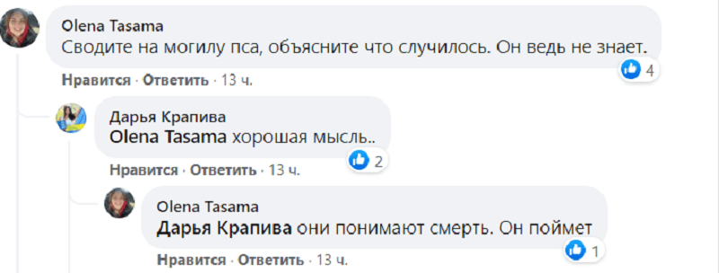 В Днепре пес продолжает искать умершую хозяйку. Новости Днепра