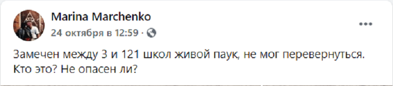 В Днепре массово развелись ядовитые пауки-волки. Новости Днепра