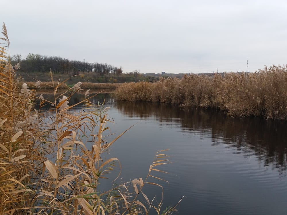 У Дніпрі продовжують контролювати викиди небезпечних речовин у водойми