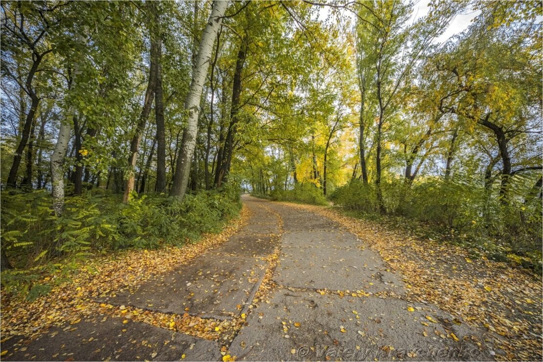 Невероятные сны листопада: Днепр окунулся в краски зеленой осени (Фото)