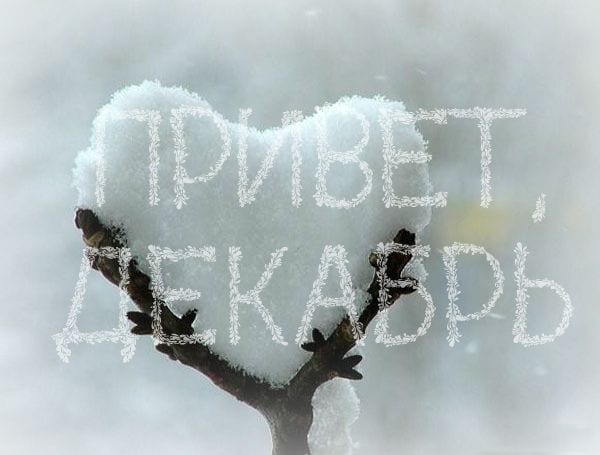 1 декабря, день Платона и Романа: что нельзя делать, традиции и приметы