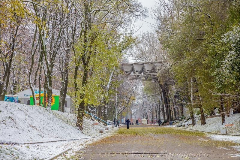 Первый снег в Днепре: фото в парке Шевченко. Новости Днепра