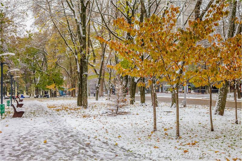 Первый снег в Днепре: фото в парке Шевченко. Новости Днепра