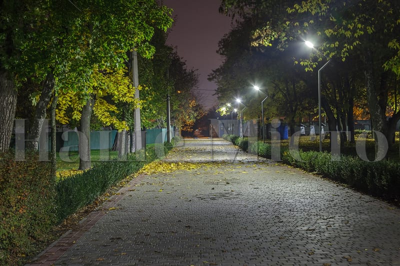 Осень в ночном парке "Новокодакский" в Днепре. Новости Днепра