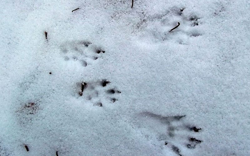 18 декабря, Саввин день: что нельзя делать, приметы и народные традиции