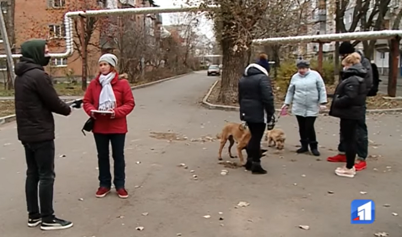 Волна убийств бездомных животных накрыла Авиаторское: яд поражает легкие