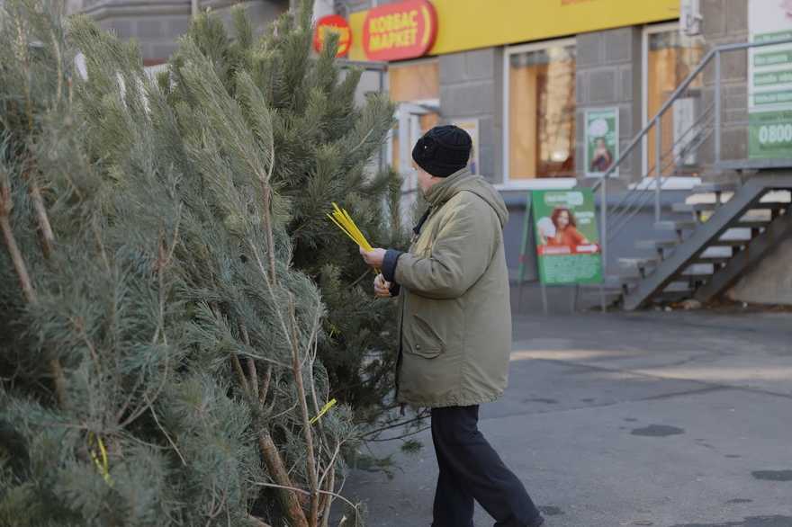 Днепрян просят поддержать елочных бизнесменов – новости Днепра