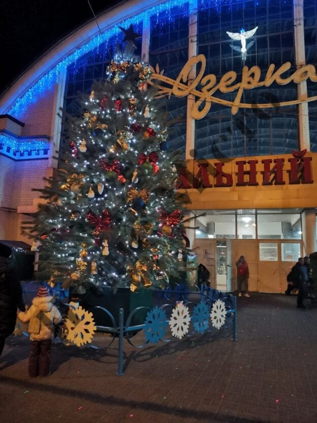 Сияет будто в сказке: в Днепре возле Озерки установили живую елку (Фото)