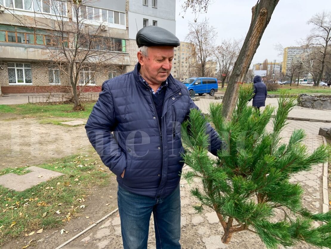 В Днепре бесплатно раздают новогодние елки (Фото)