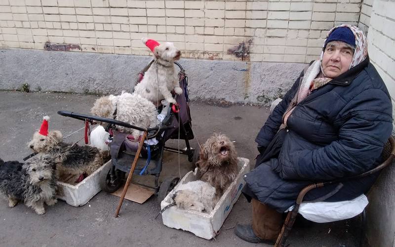 В Днепре кочует женщина с мохнатой стаей – новости Днепра