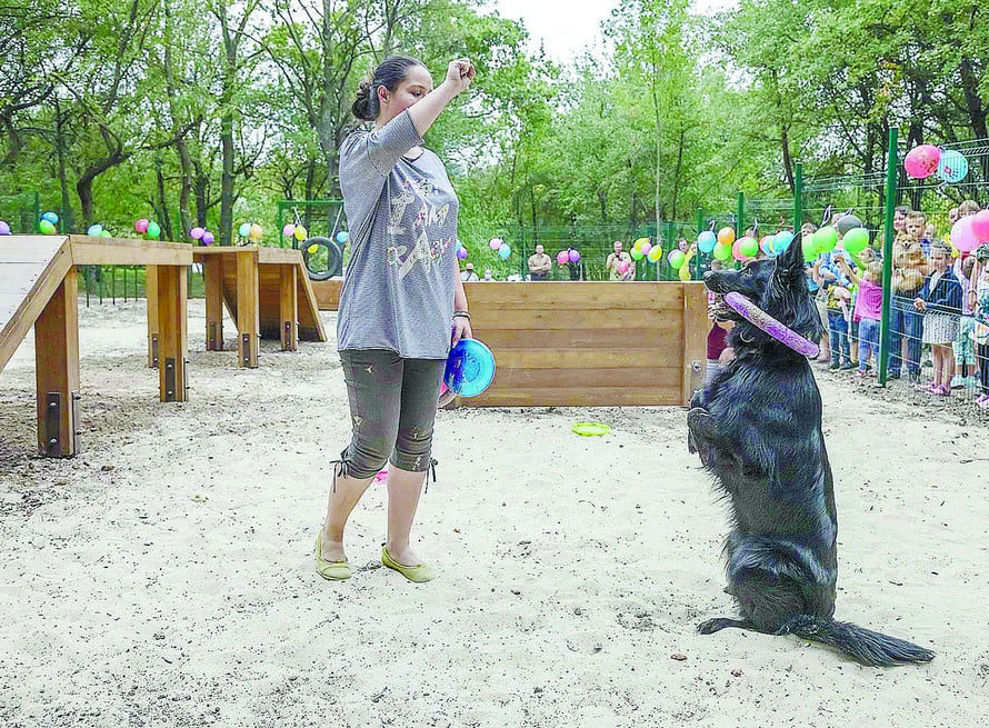 Как днепряне реализовали свои идеи с помощью бюджета участия (Фото)