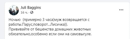 На ж/м Парус во дворах заметили лису (Видео) – новости Днепра