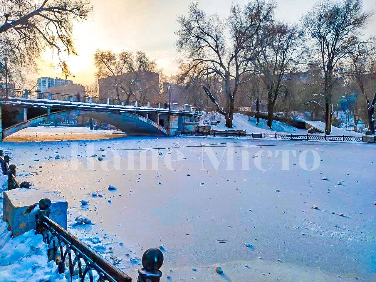 В Днепре в парке Глобы замерзло озеро: как себя чувствуют утки (Фото)