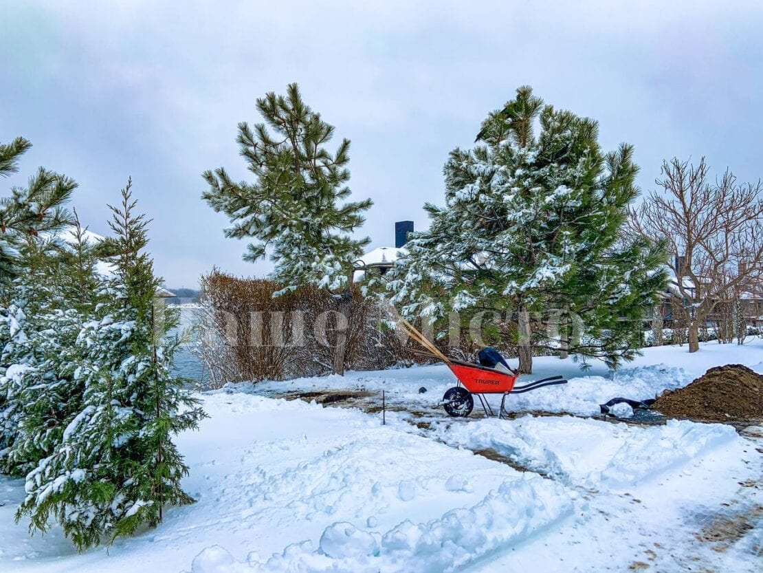 В Днепре зима преобразила яхт-клуб «Сич» (Фоторепортаж)