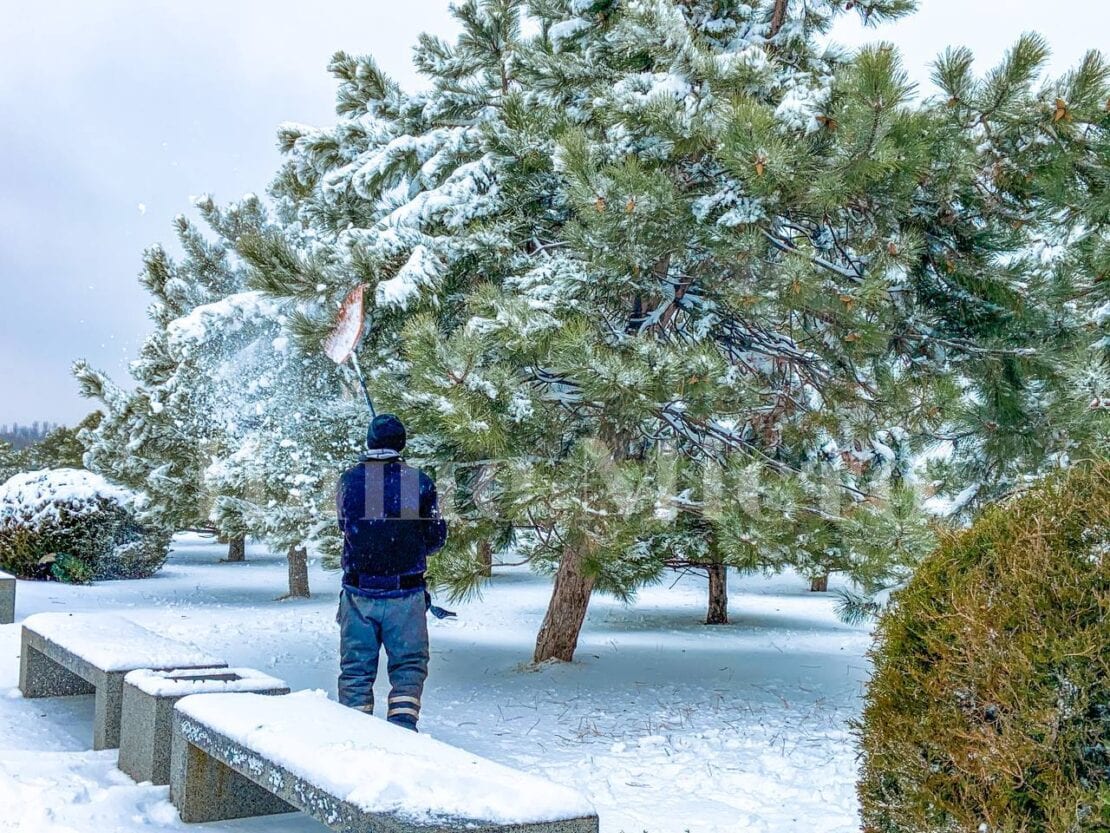 В Днепре зима преобразила яхт-клуб «Сич» (Фоторепортаж)