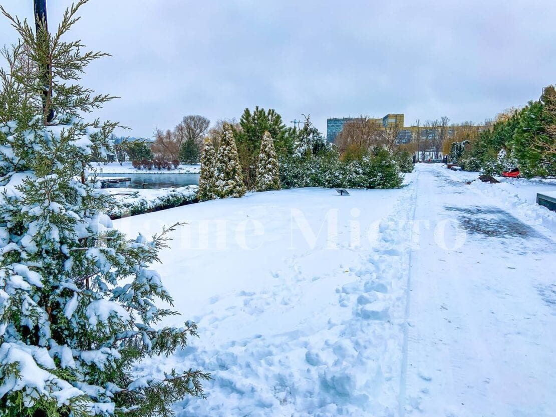 В Днепре зима преобразила яхт-клуб «Сич» (Фоторепортаж)