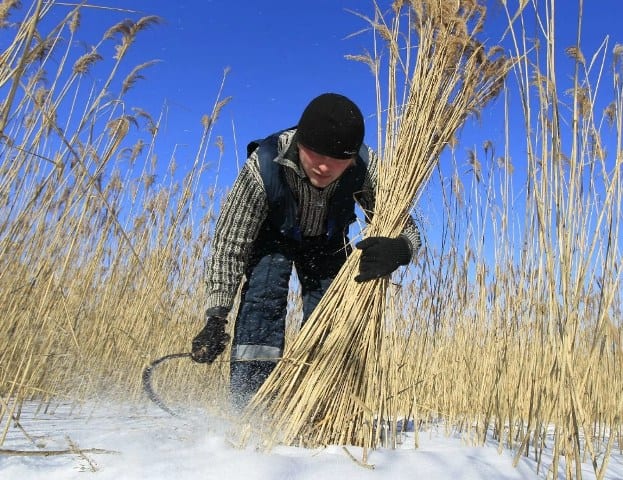 21 февраля, день Захария: что нельзя делать, приметы и традиции 