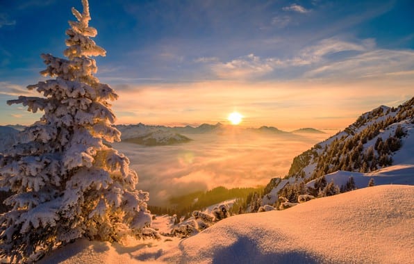 16 февраля, день Семена и Анны: что нельзя делать