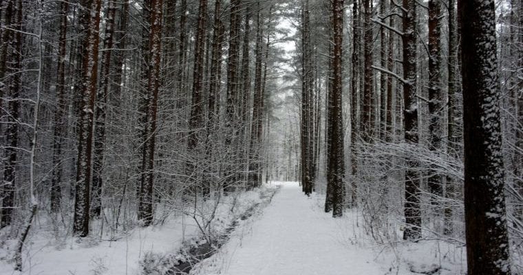 18 февраля, день Голодухи: что нельзя делать, приметы и традиции