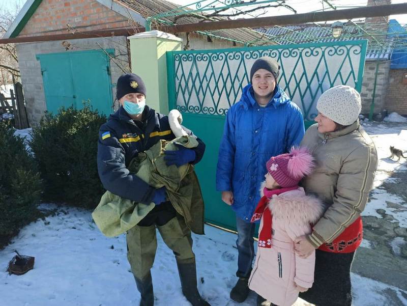 Под Днепром спасли лебедя из ледяного озера – новости Днепра