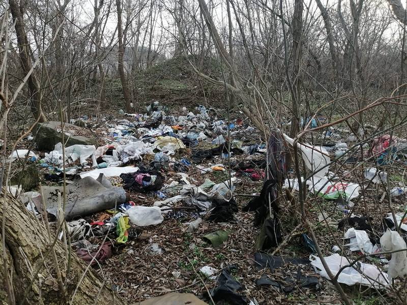 Собачник зовет днепрян спасать природу (Фото) – новости Днепра