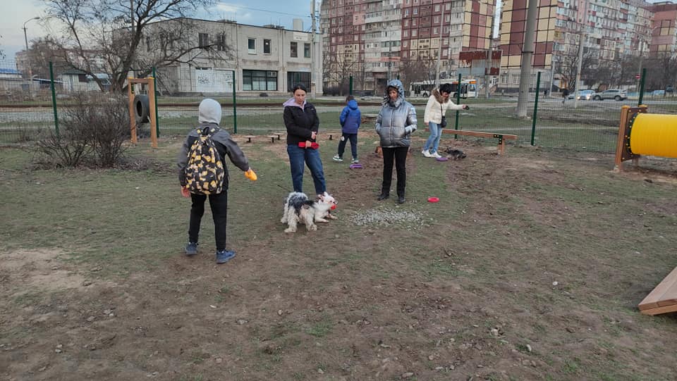 Площадка для собак стала яблоком раздора – новости Днепра