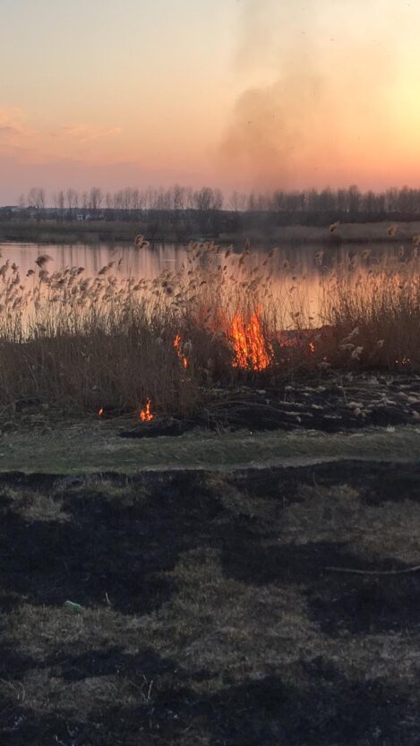 Горожане массово поджигают траву и мусор – новости Днепра