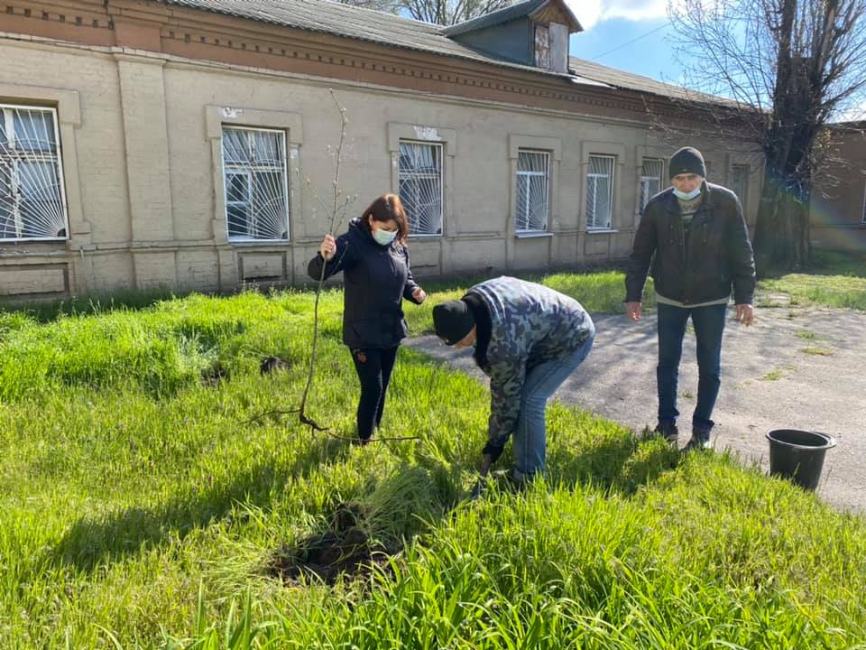 В "Центре художественно-эстетического творчества" высадили деревья и кусты – новости Днепра