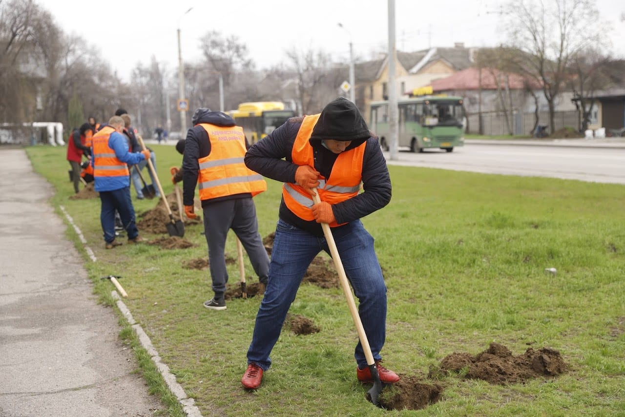 На Калиновой высадили 100 кустов можжевельника – новости Днепра