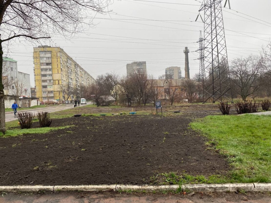 Высадили 300 кустов спиреи белой – новости Днепра