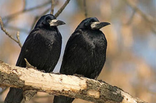28 апреля, Великая среда: что нельзя делать – новости Днепра