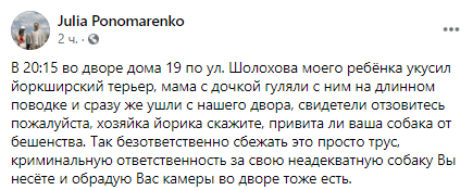 Йоркширский терьер покусал ребенка – новости Днепра