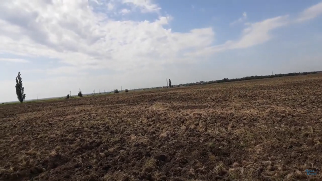 В Днепропетровской области уничтожают орнитологический заповедник (фото, видео)