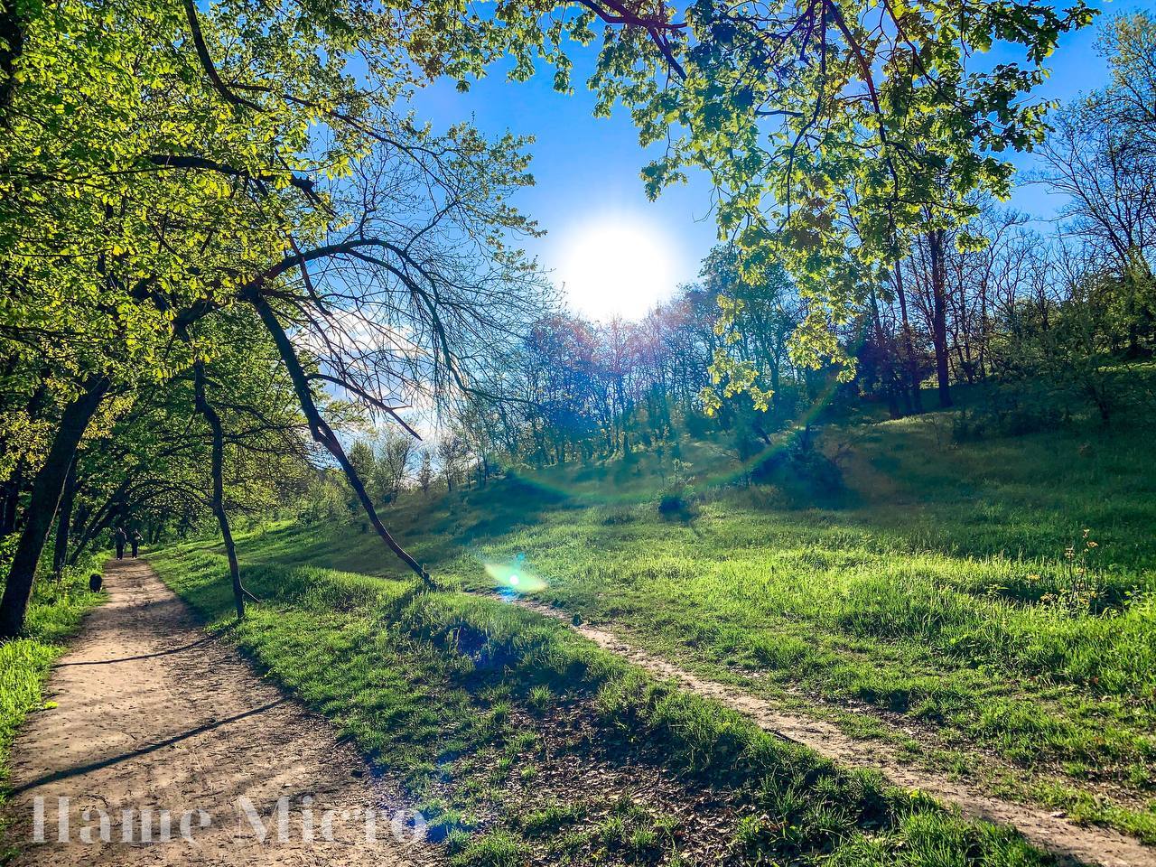 Весна 2021 преобразила тоннельную балку (Фото) – новости Днепра