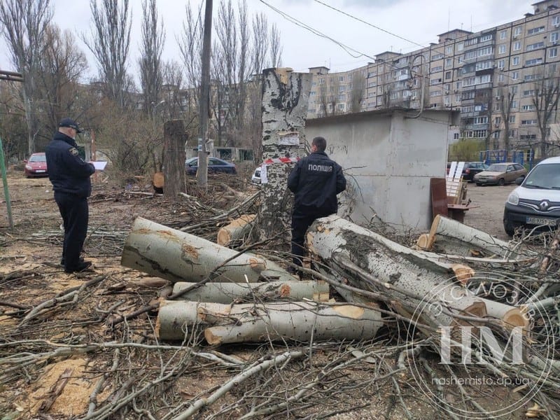 Неизвестные срубили деревья и отжали двор – новости Днепра