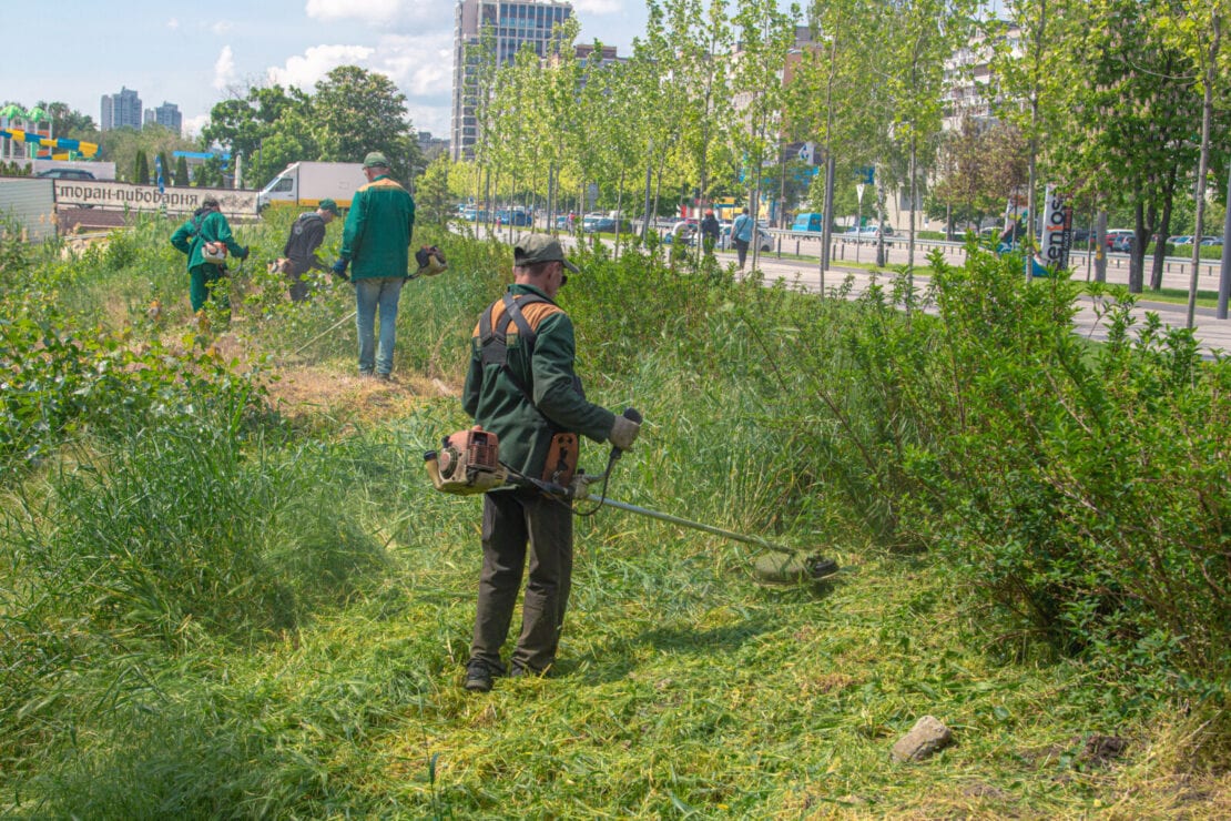 Сколько можно заработать, подстригая клумбы – новости Днепра