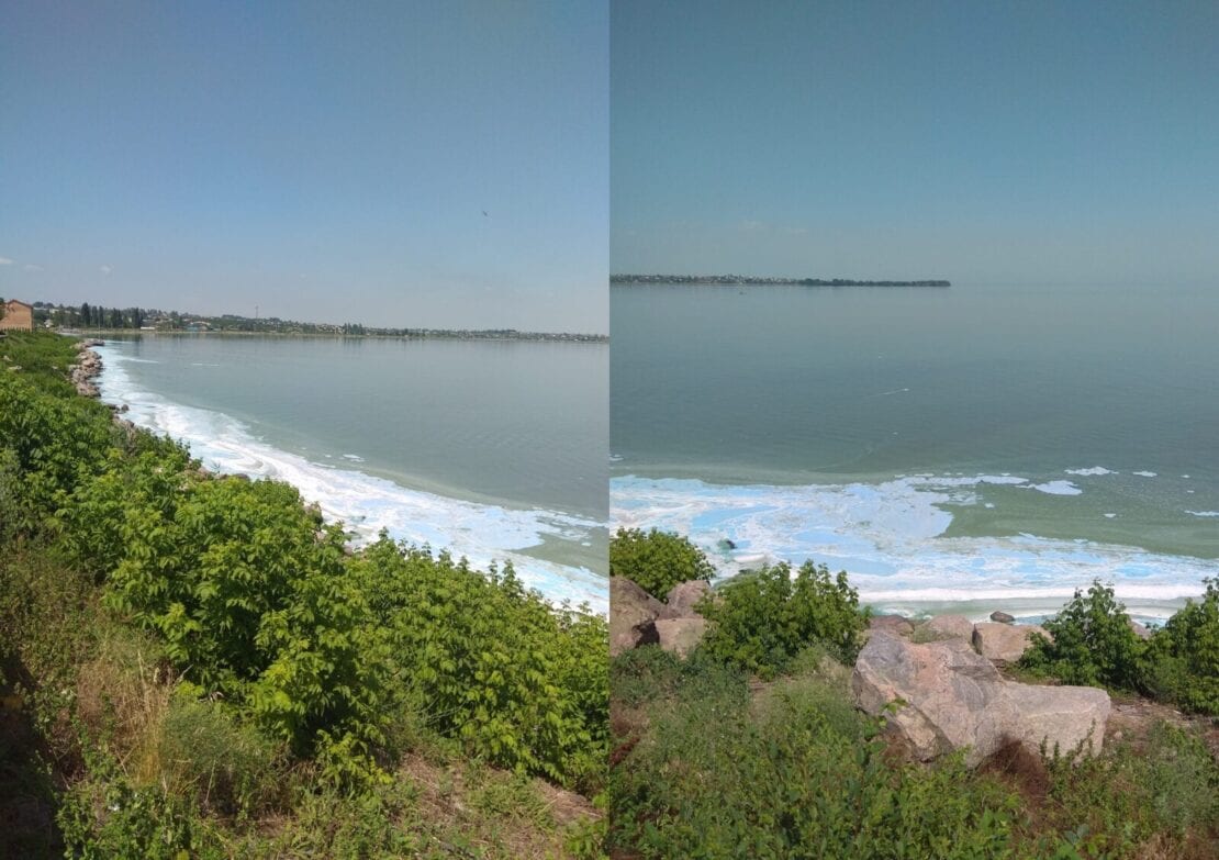 В Каховском водохранилище позеленела вода – новости Днепра