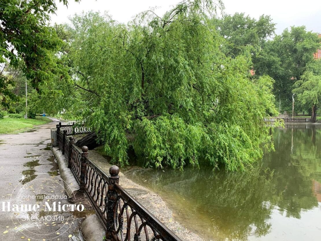 В парке Глобы дерево рухнуло на детские аттракционы – новости Днепра