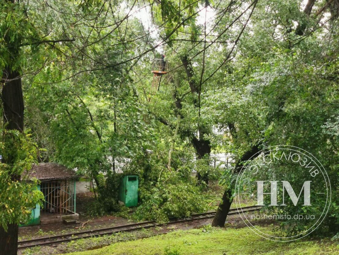 В парке Глобы из-за ливня рухнули деревья – новости Днепра