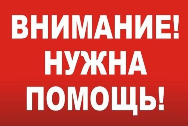 В Днепропетровской области нашли тело мужчины: полиция просит опознать (фото 18+)