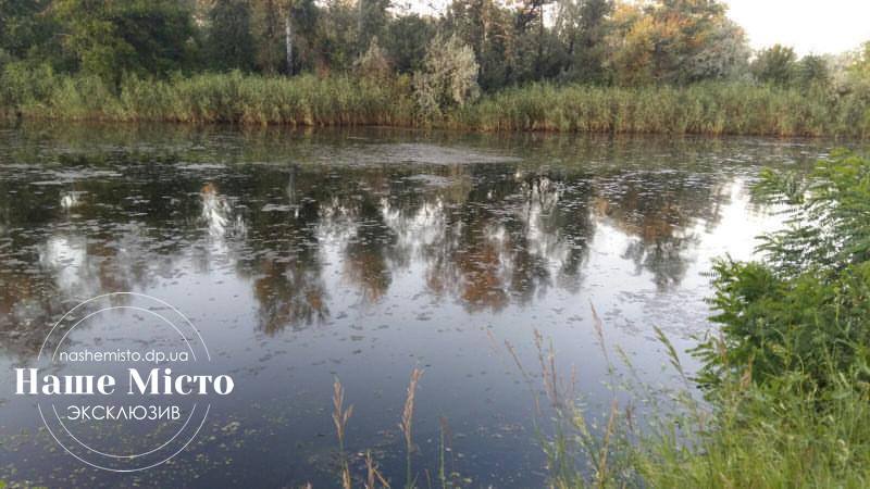 Орель в Обуховке воняет канализацией и липнет - новости Днепра