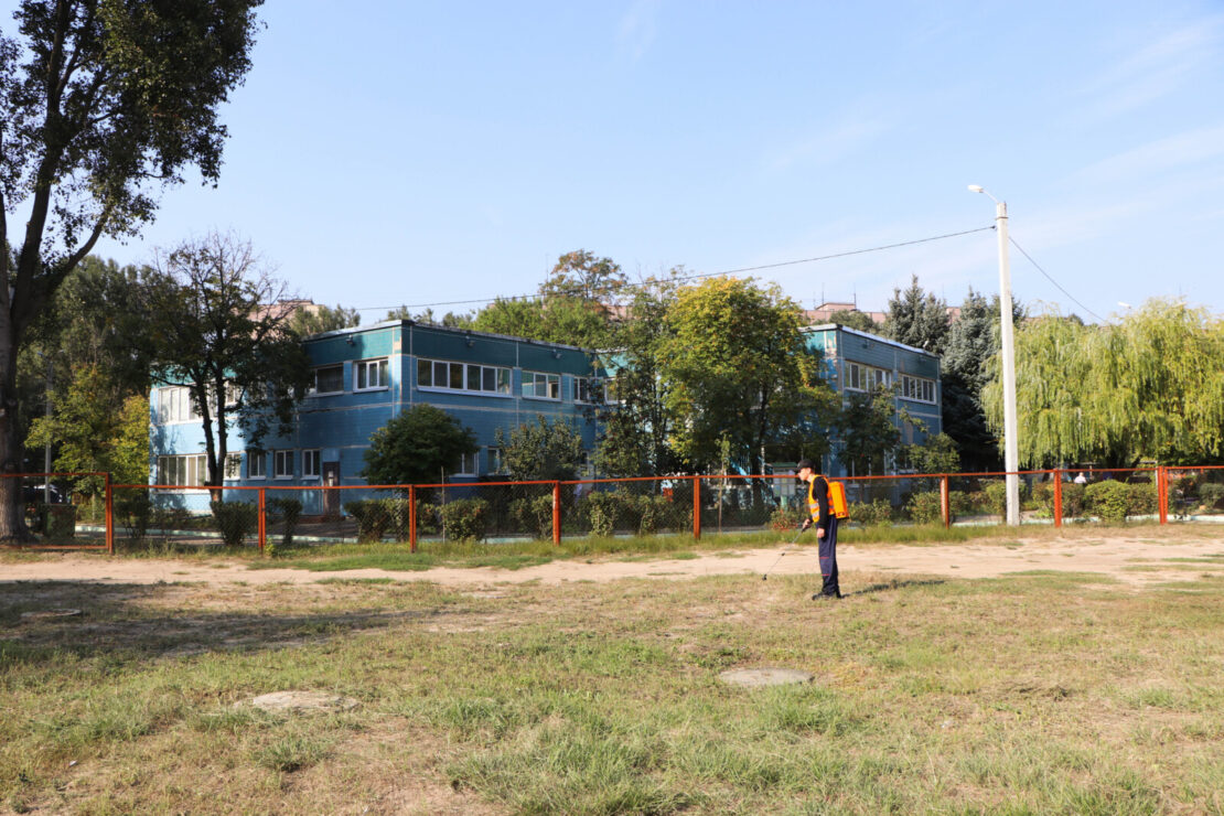В Днепре продолжается борьба с амброзией агрохимическим методом