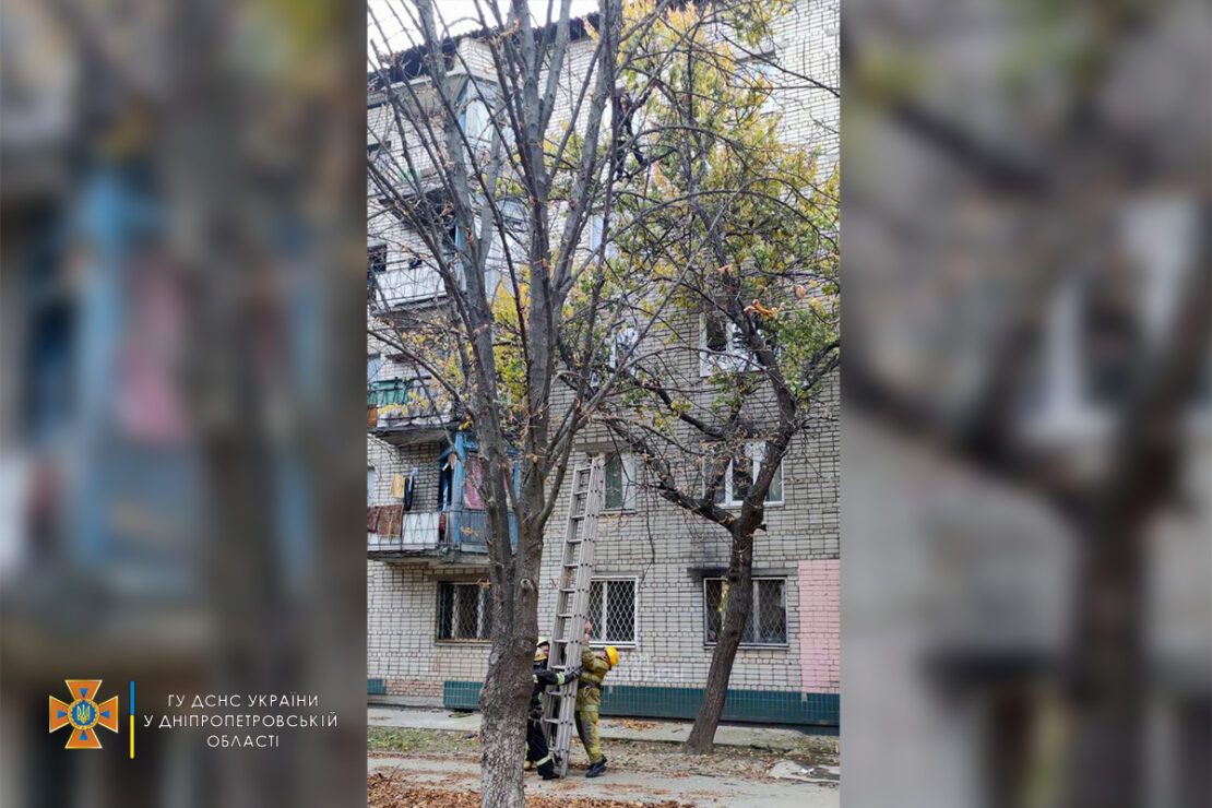 В Никополе беременная девушка залезла на дерево - новости Днепра