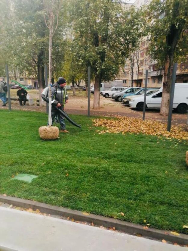 На левом берегу появится еще одна аллея сакур - новости Днепра