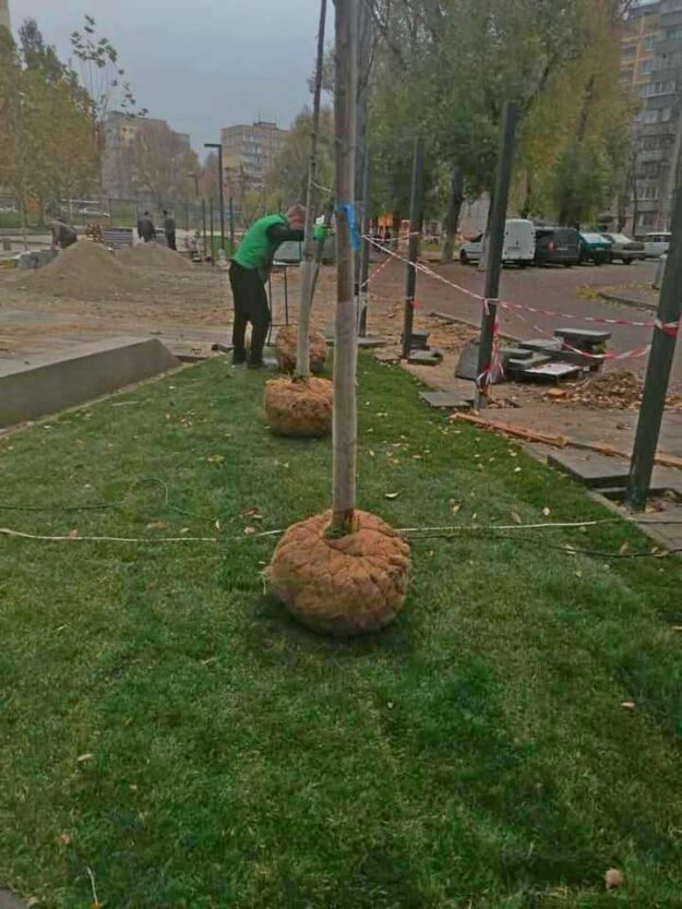 На левом берегу появится еще одна аллея сакур - новости Днепра